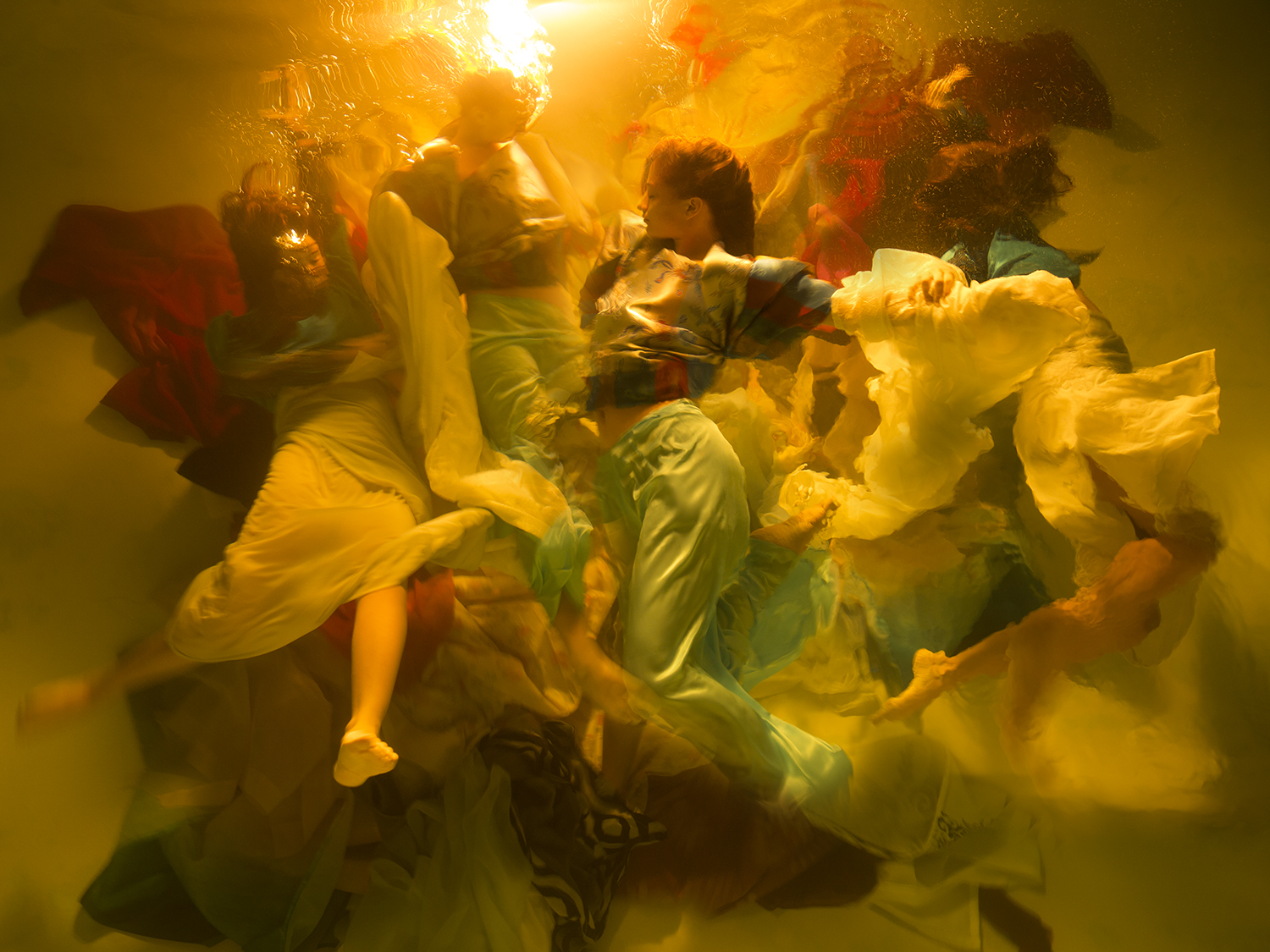 Sony World Photography Awards 2019: объявлены победители в Открытом конкурсе Sony World Photography Awards 2019: объявлены победители в Открытом конкурсе