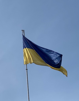 11 вироків та оновлення WIPO ALERT: Ініціатива «Чисте небо» запропонувала нові кроки для боротьби з піратством в Україні